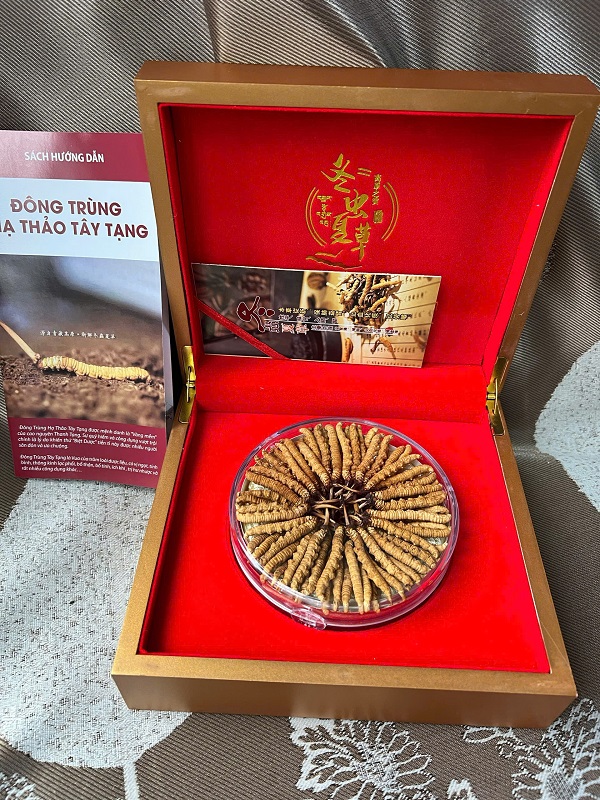 dong-trung-ha-thao-tay-tang-hoang-da-hop-20gr-1