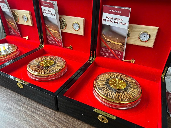 dong-trung-ha-thao-tay-tang-hoang-da-hop-50gr-2